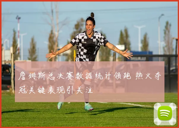 詹姆斯总决赛数据统计领跑 热火夺冠关键表现引关注