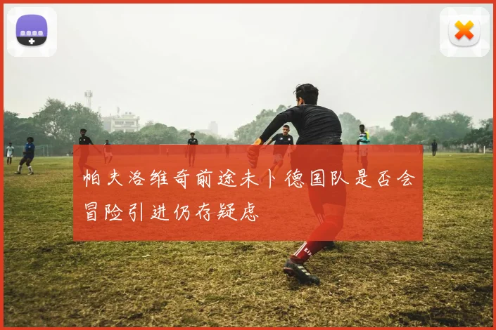 帕夫洛维奇前途未卜德国队是否会冒险引进仍存疑虑