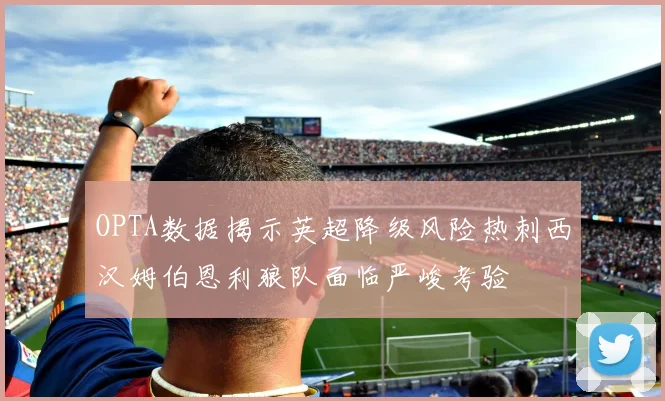OPTA数据揭示英超降级风险热刺西汉姆伯恩利狼队面临严峻考验